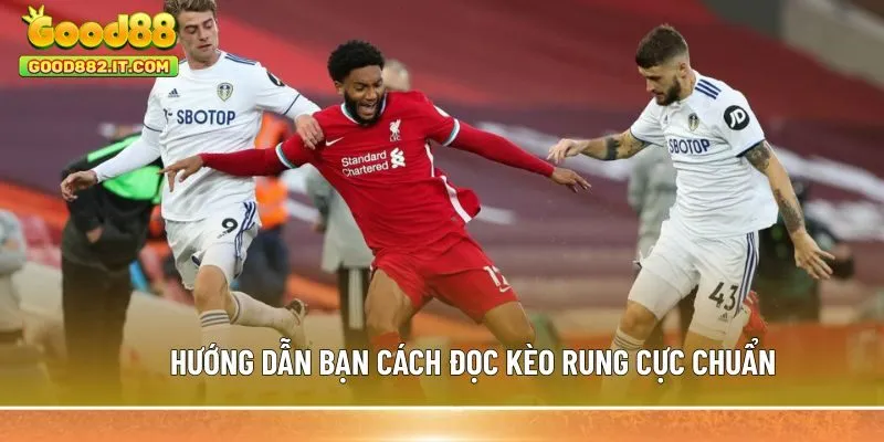 Hướng dẫn bạn cách đọc kèo rung cực chuẩn