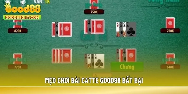 Mẹo chơi bài Catte Good88 bất bại